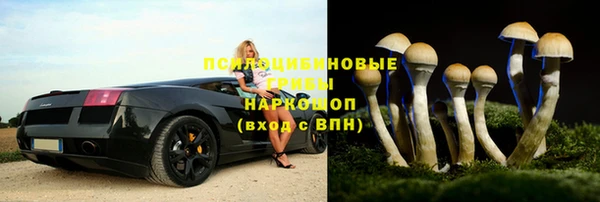 винт Покровск
