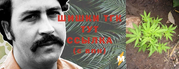 шишки Пролетарск