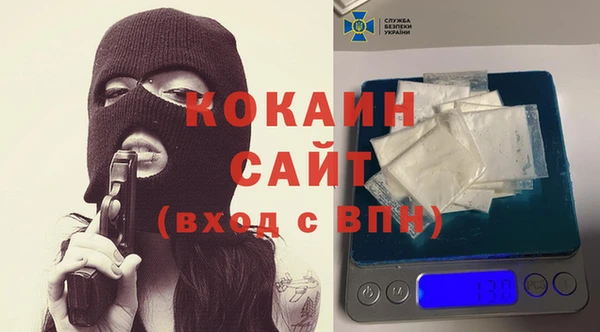 гидра Покачи