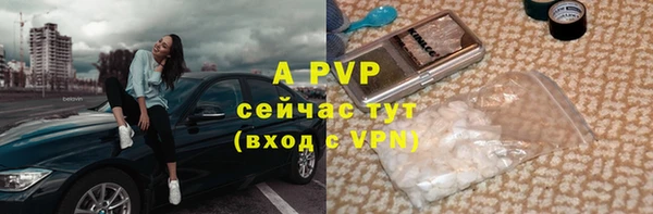 гашик Покров