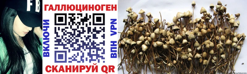 Галлюциногенные грибы ЛСД  гидра ССЫЛКА  Тырныауз 